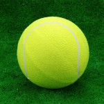 Мяч для большого тенниса самый дешёвый s-dostavka - магазин СпортДоставка. Спортивные товары интернет магазин в Новороссийске 